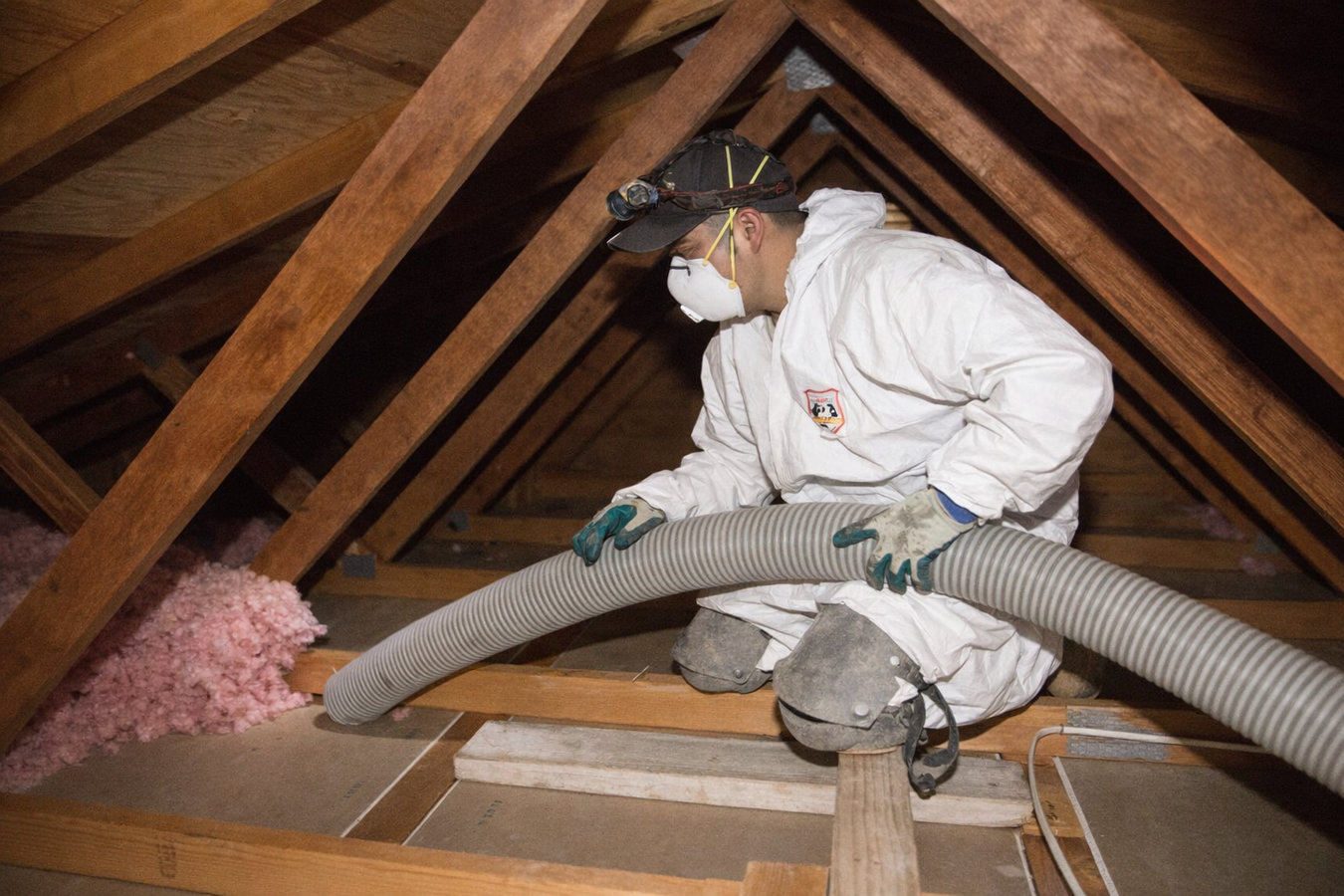 Insulation removal